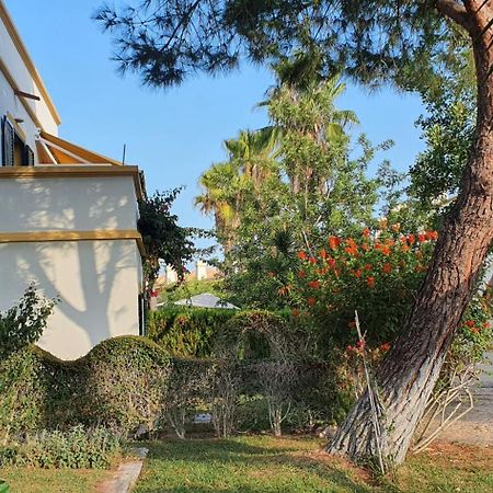 טאווירה Nice 2 Bedroom Apartment Groundfloor Swimming Pool מראה חיצוני תמונה