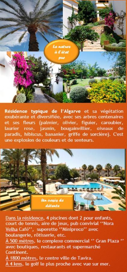טאווירה Nice 2 Bedroom Apartment Groundfloor Swimming Pool מראה חיצוני תמונה
