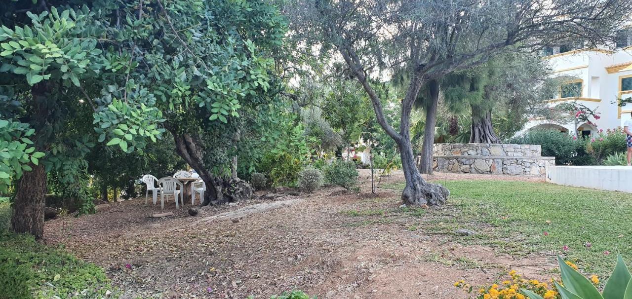 טאווירה Nice 2 Bedroom Apartment Groundfloor Swimming Pool מראה חיצוני תמונה